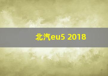 北汽eu5 2018